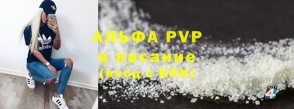 стаф Богородицк