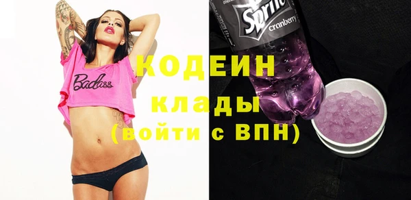 метадон Богданович