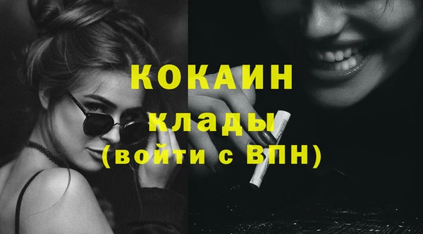 метадон Богданович