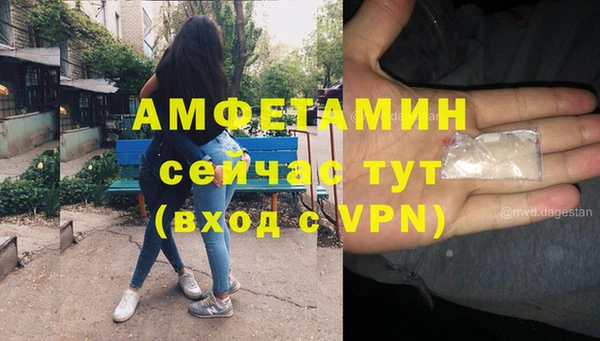 метадон Богданович