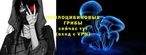 стаф Богородицк
