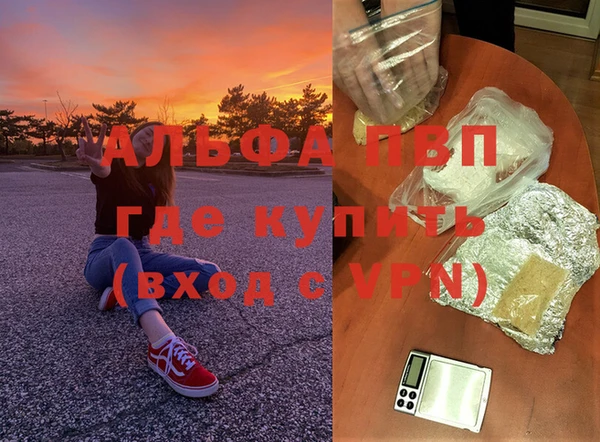 метадон Богданович