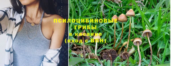 метадон Богданович