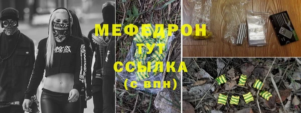 стаф Богородицк