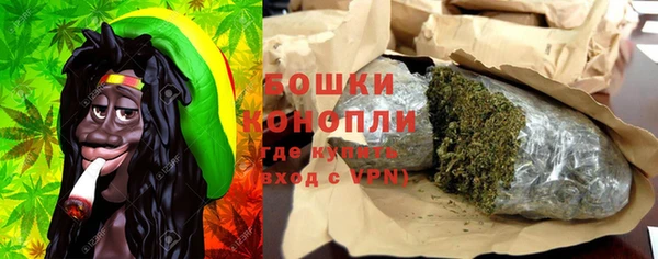 метадон Богданович