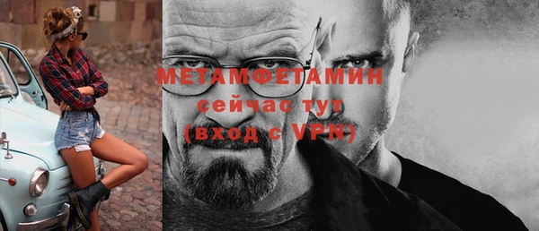 метадон Богданович