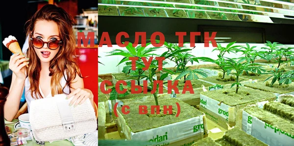 стаф Богородицк