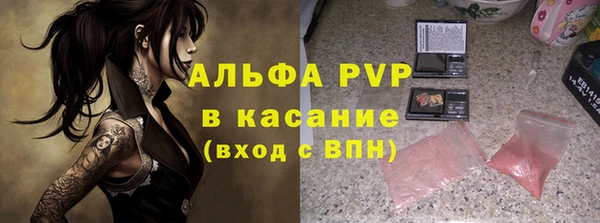 метадон Богданович