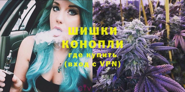 метадон Богданович