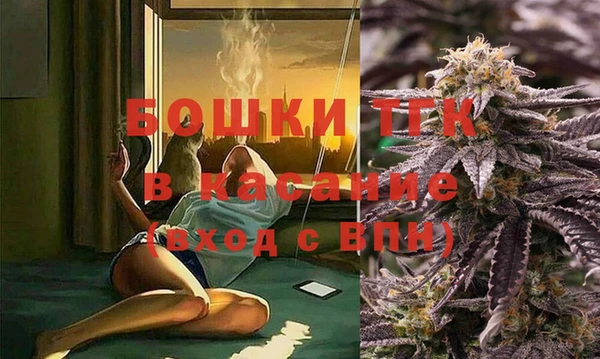 стаф Богородицк